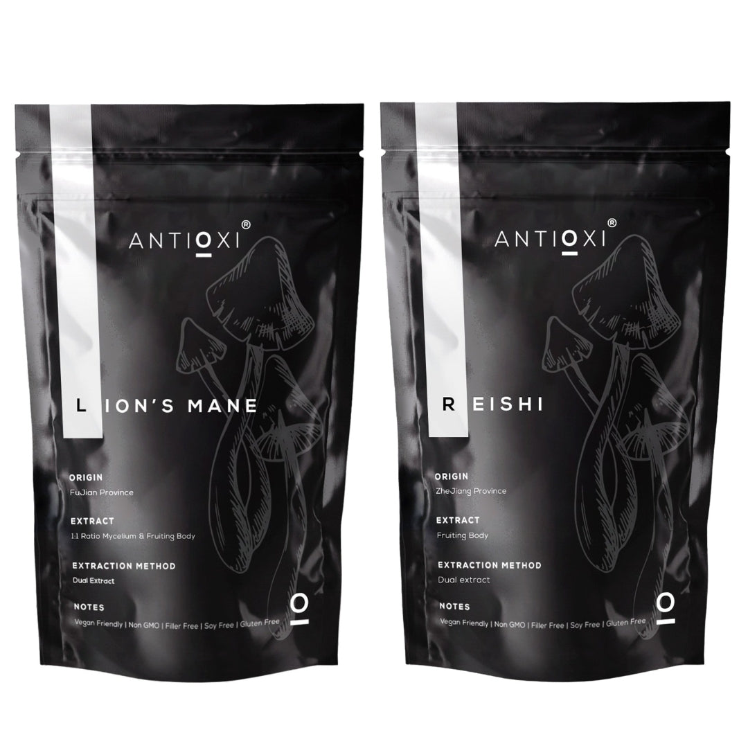 the best mushrooms for focus