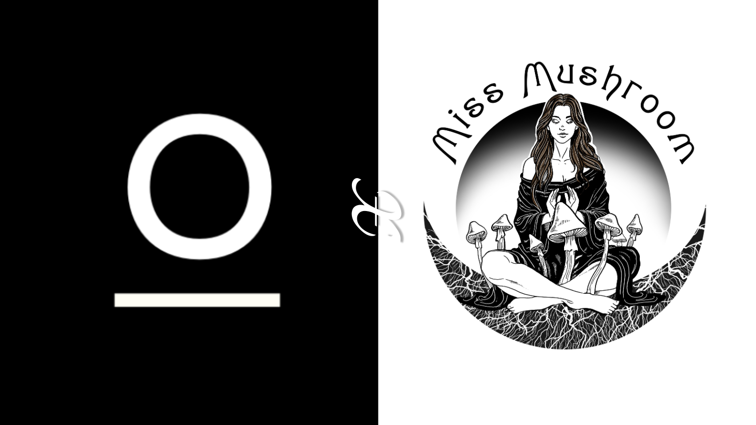 Miss Mushroom x Antioxi Collaboration