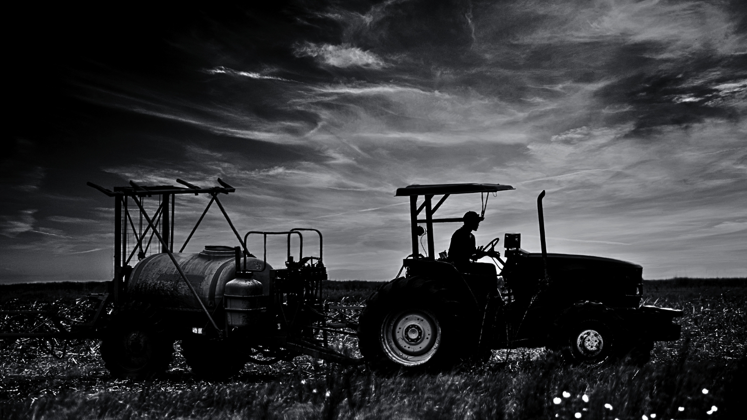 The Clarkson Effect and Lion's Mane Mushrooms | Antioxi