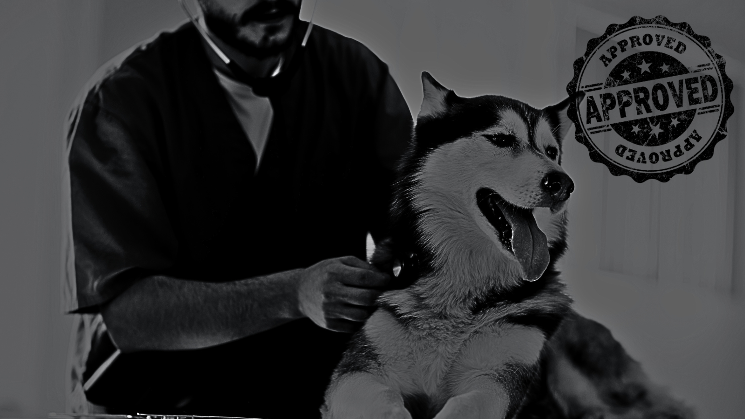 Antioxi Vet Approved Mushroom Supplements