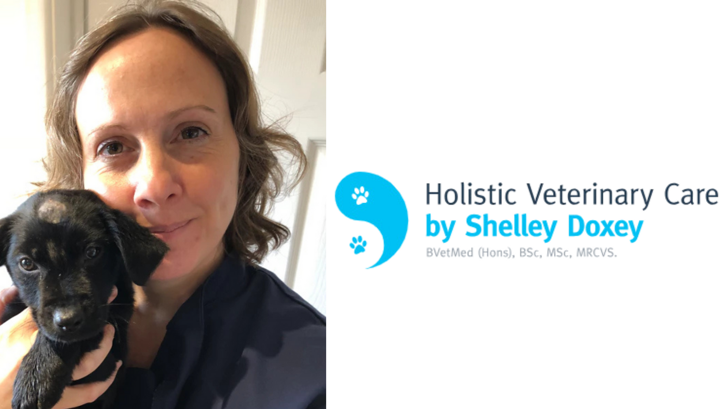 Dr. Shelley Doxey: Advocate for Pet Wellness by Antioxi