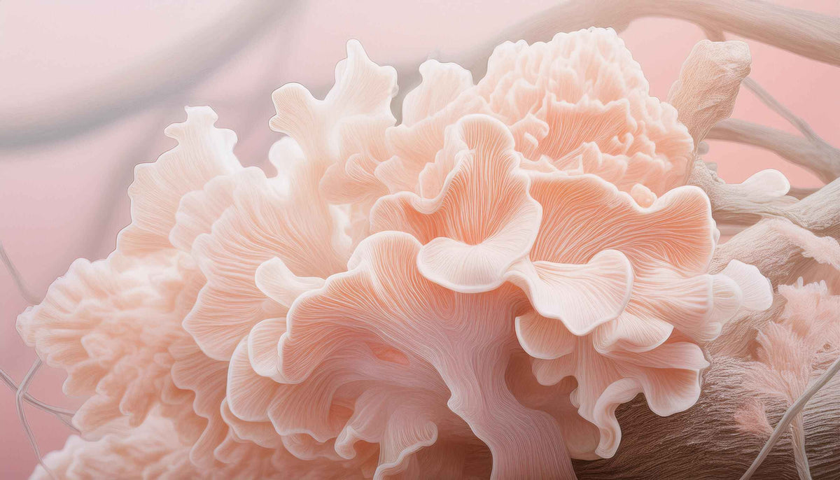 Tremella Mushroom Benefits: Top Skin, Beauty & Wellness