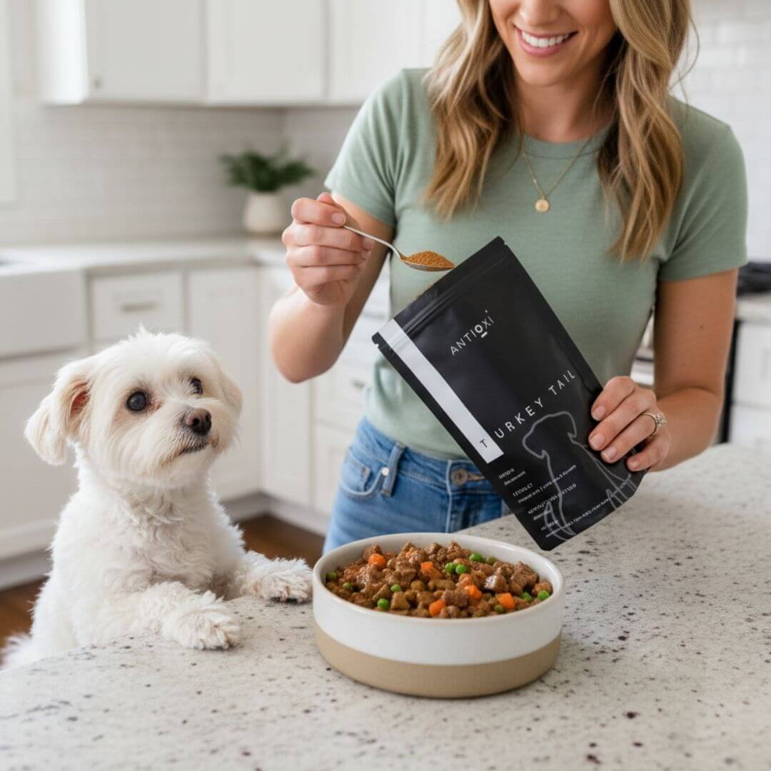 antioxi pets bet sellers 