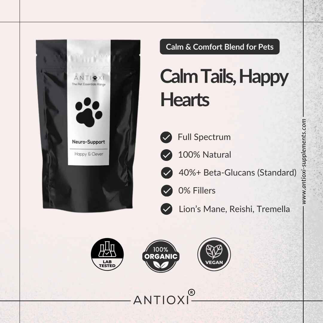Calm & Comfort | Pets