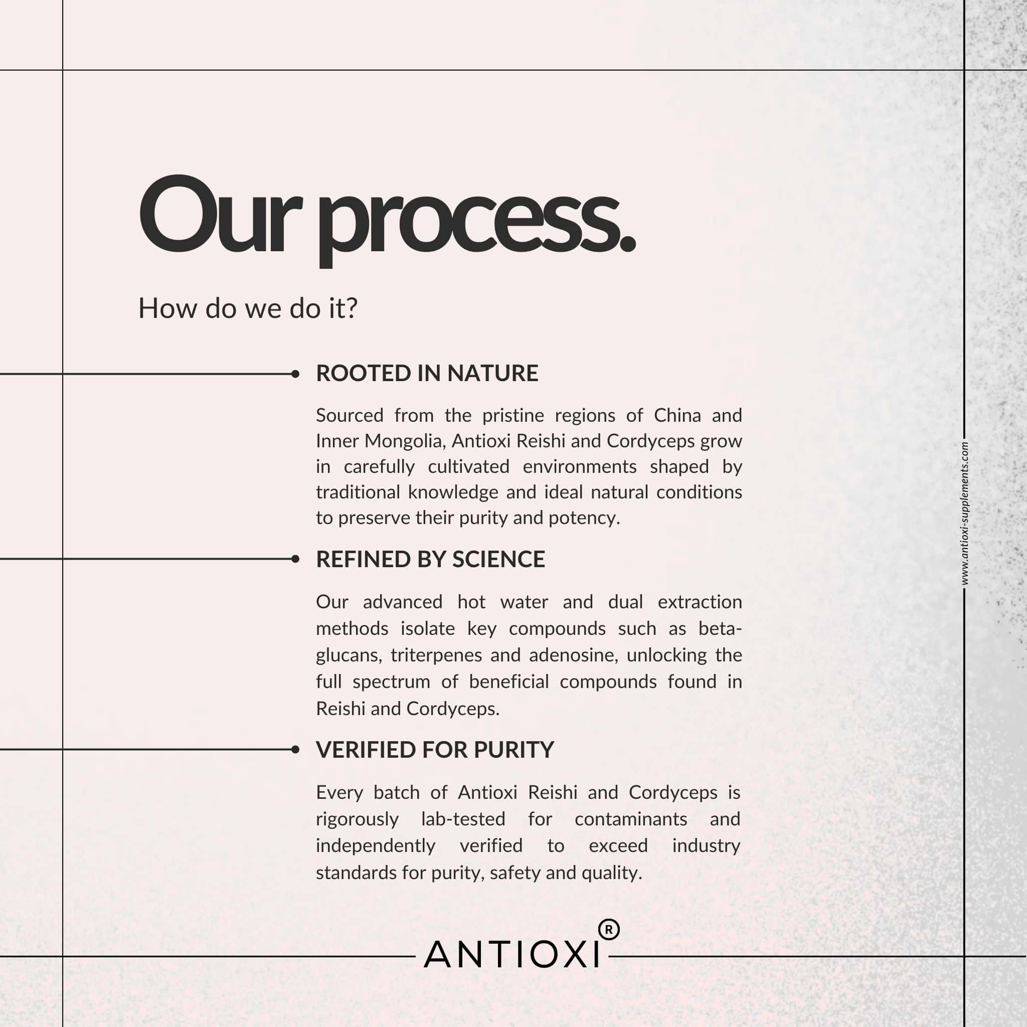 Antioxi Hormone Support mushroom supplement bundle process showing sourcing, extraction and purity testing of Reishi and Cordyceps mushrooms.