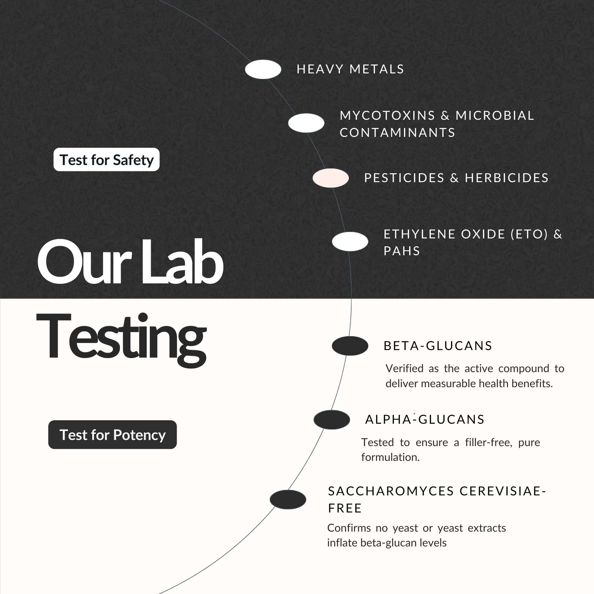 Antioxi Hormone Support mushroom supplement bundle lab testing for heavy metals, contaminants and verified beta-glucan levels.