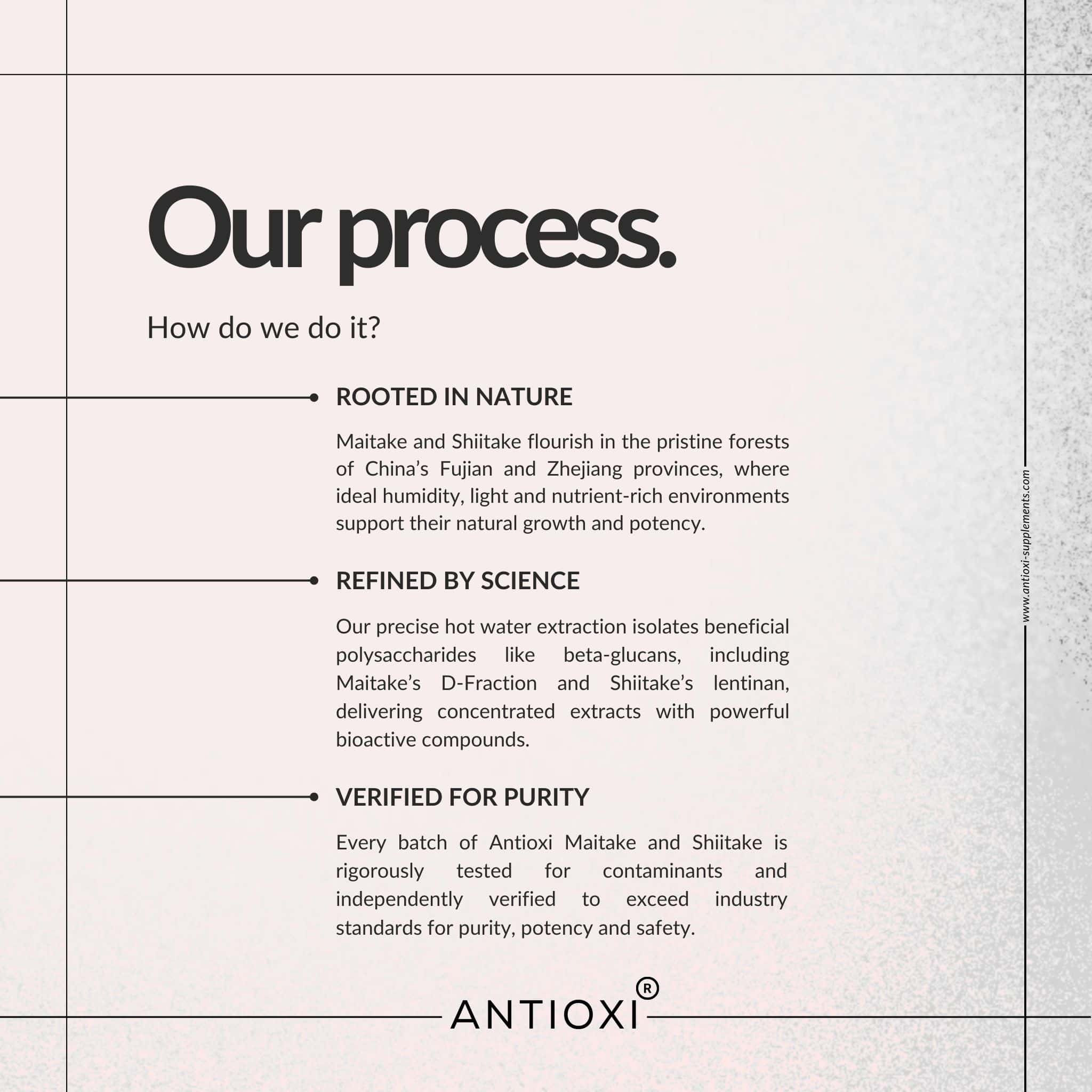 Antioxi Metabolic Support mushroom supplement bundle process showing sourcing, extraction and purity testing of Maitake and Shiitake mushrooms.