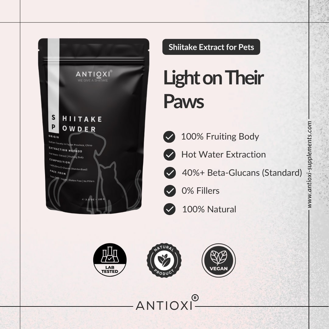 Shiitake | Pets