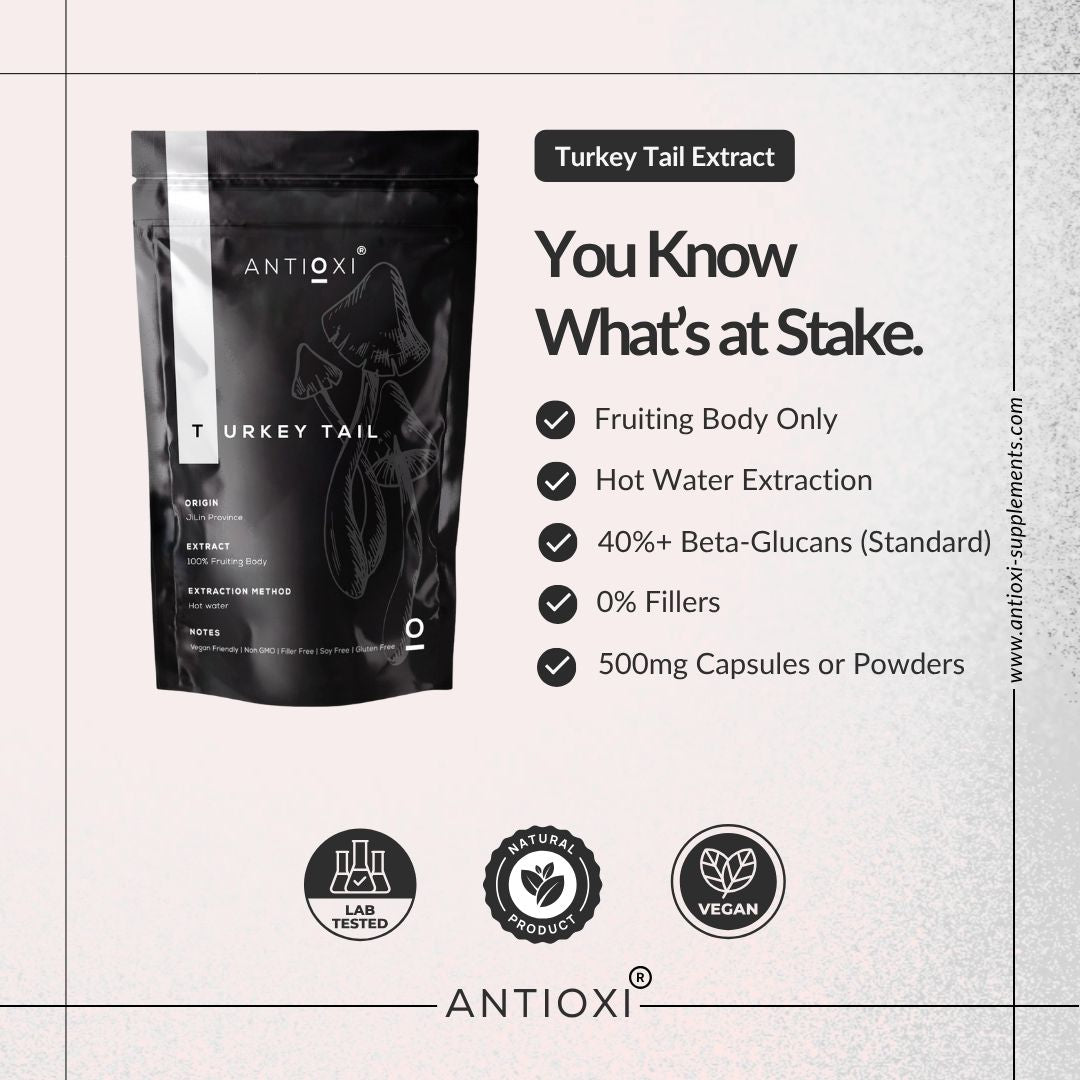 Turkey Tail (Coriolus versicolor)