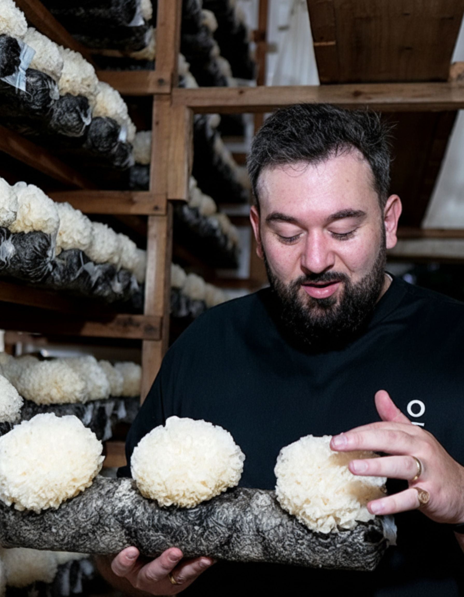 antioxi tremella mushroom farm