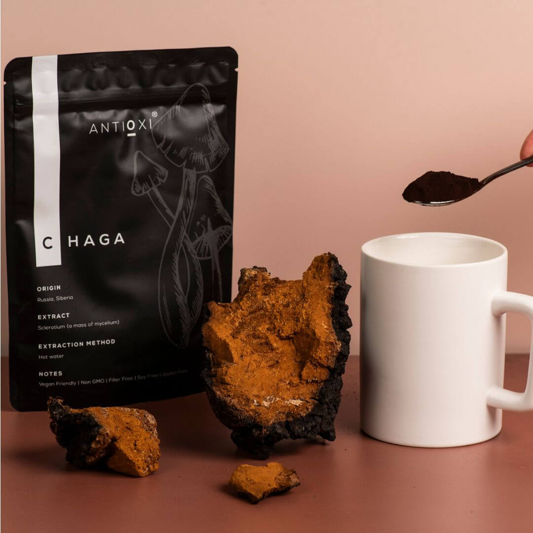 antioxi chaga mushroom supplement