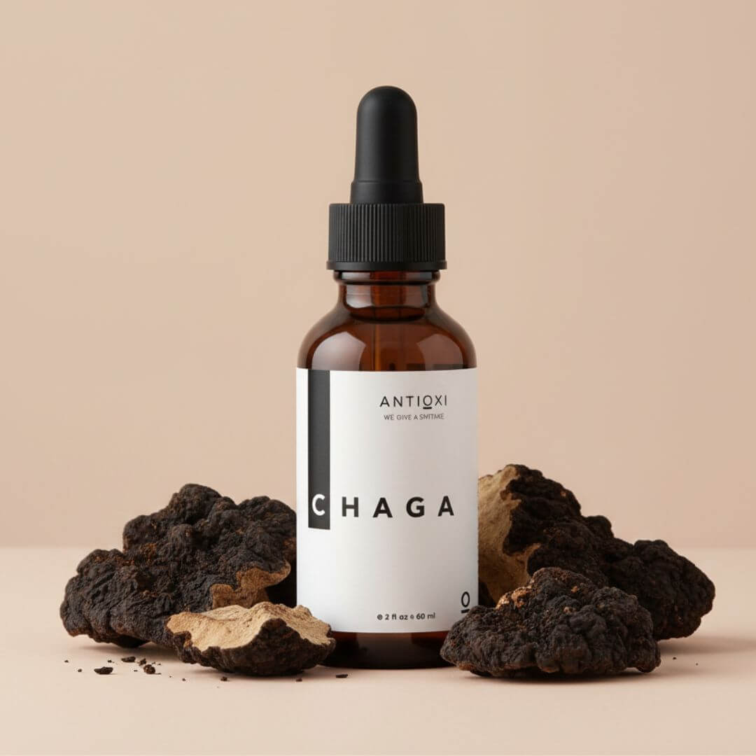 antioxi chaga mushroom tincture