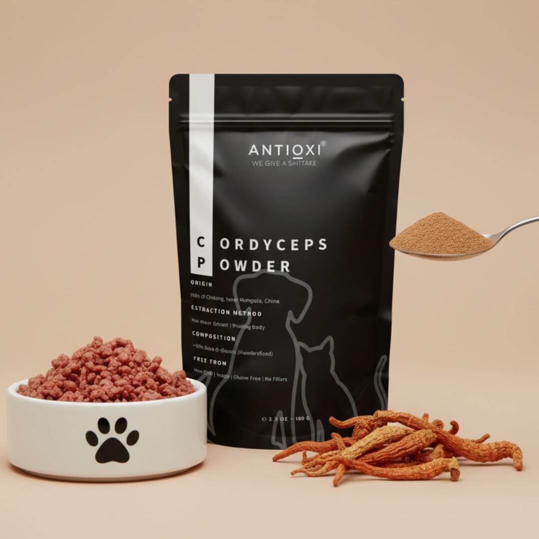 antioxi cordyceps powder for dogs and cats
