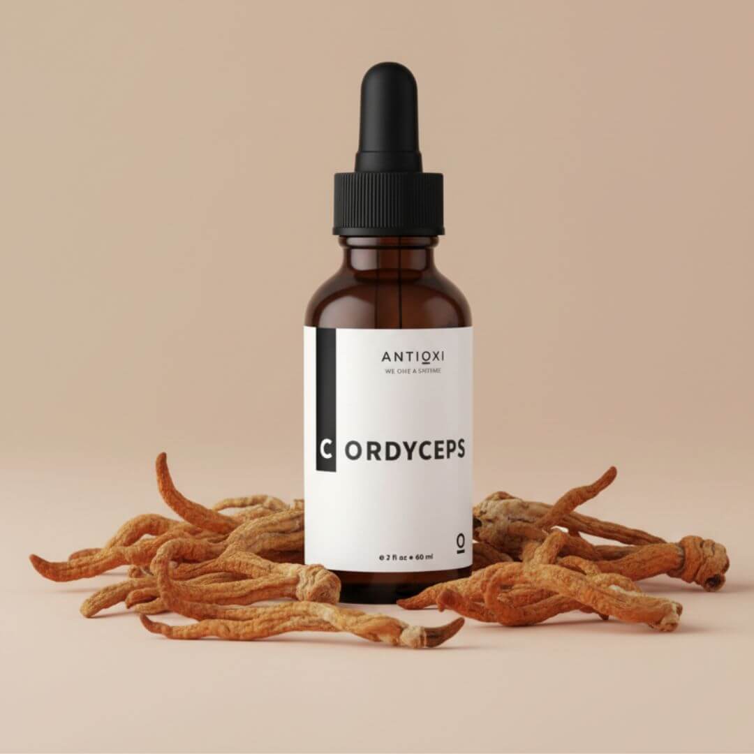 antioxi cordyceps mushroom tincture