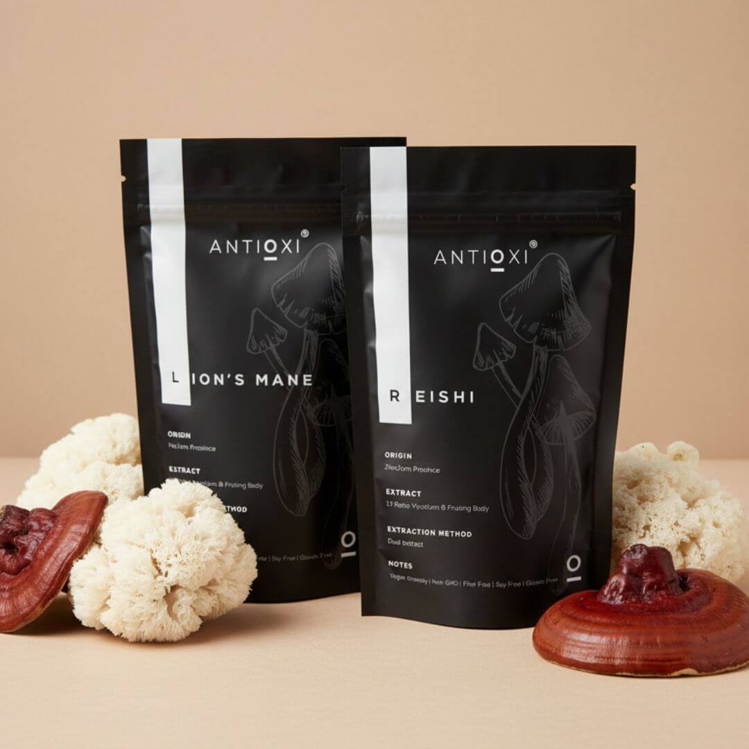 antioxi lion's mane reishi mushroom bundle for brain health