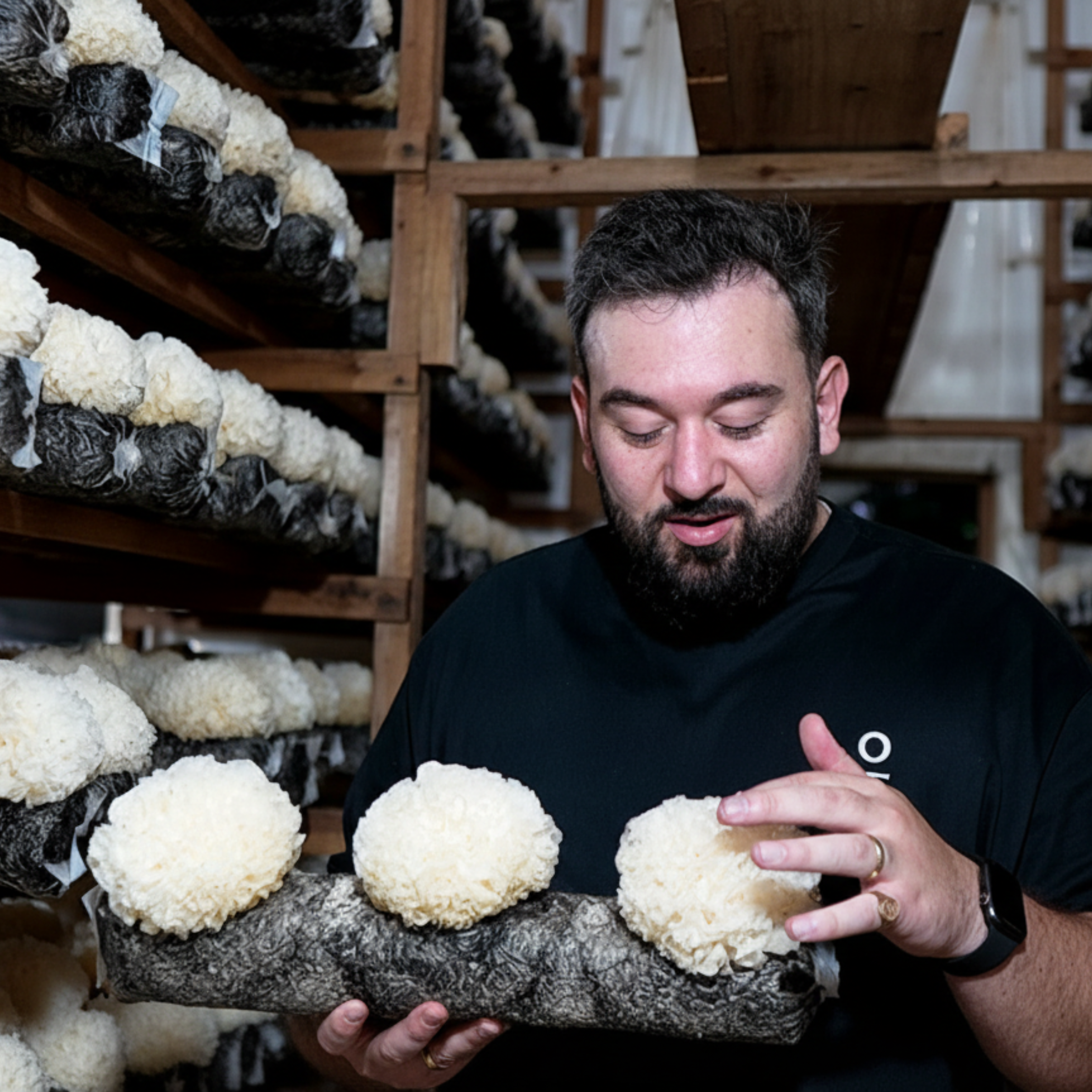 antioxi mushrooms farm
